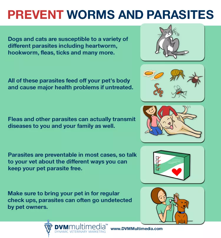 DVM-Parasites2